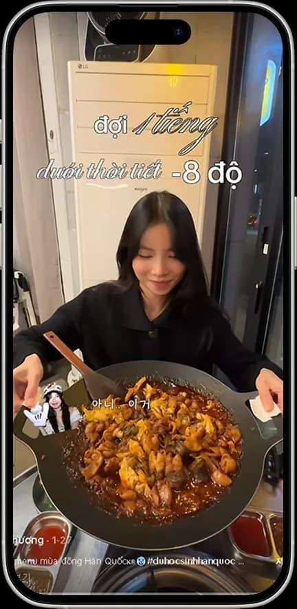 페이스북 · 틱톡 캠페인 운영 화면